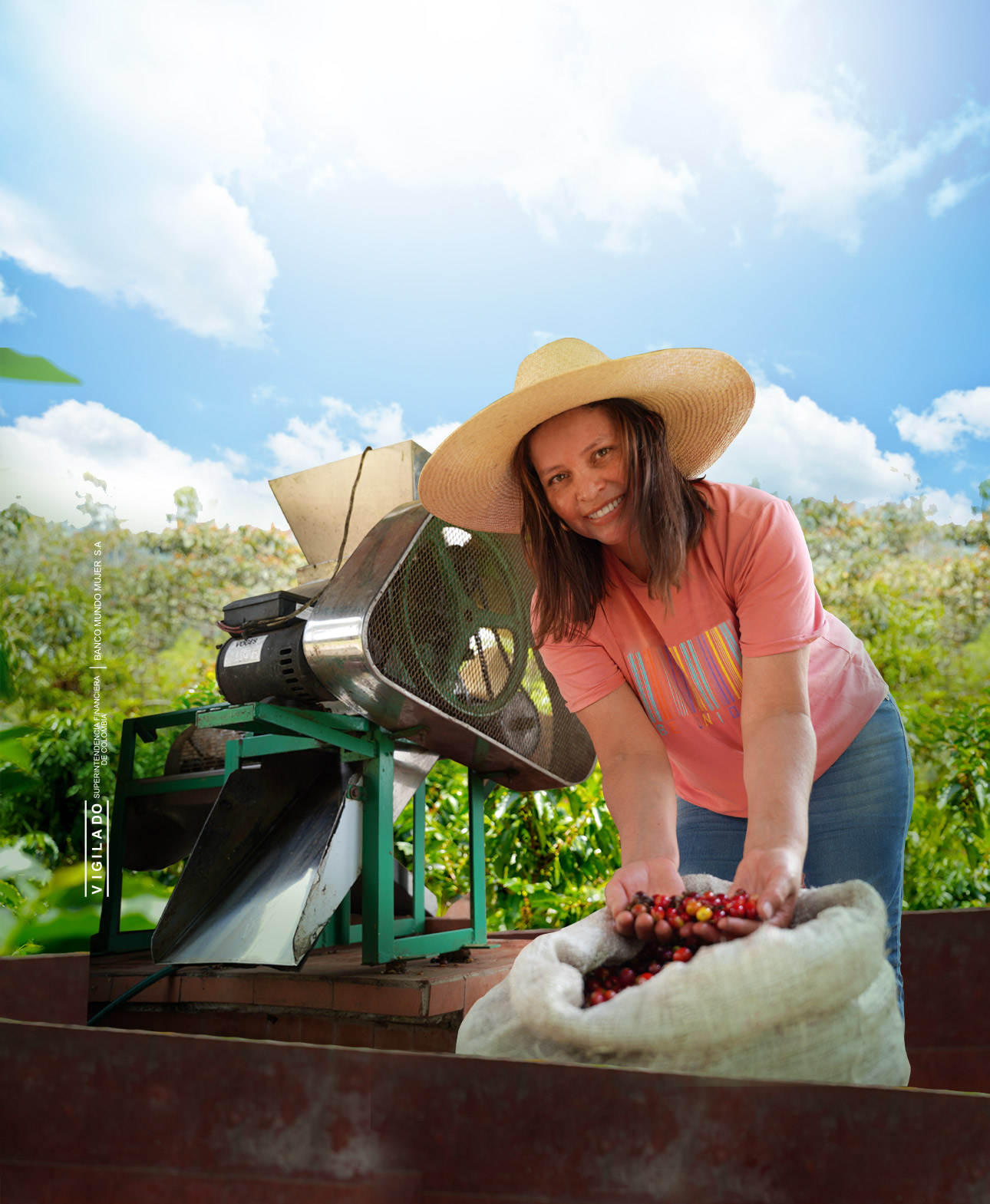 Mujer cultivando café